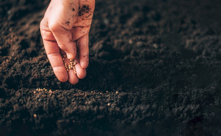 Agrobeta y la nutrición del cannabis: una guía clara para entender sus fertilizantes